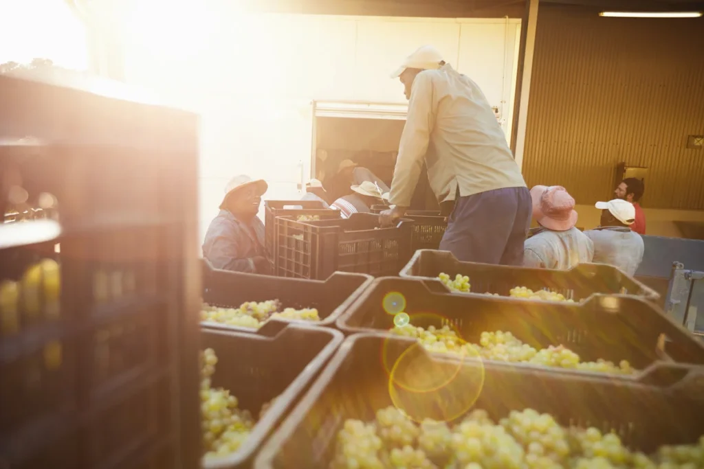 bulk food distributor deliver the products to the restaurant owner