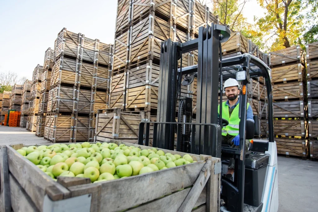 a bunch of apples undergo food distribution logistics by a worker